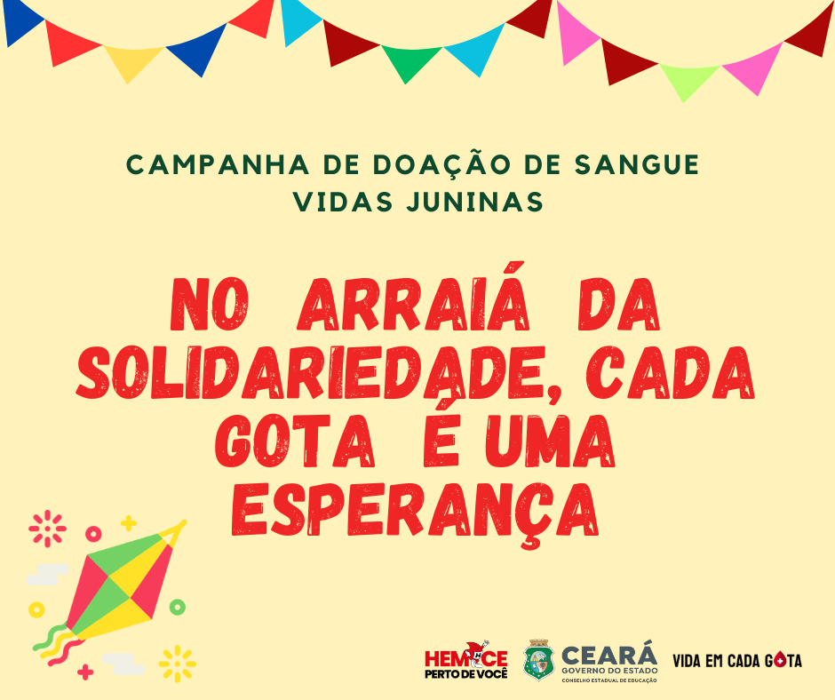 Banner Campanha Vidas Juninas